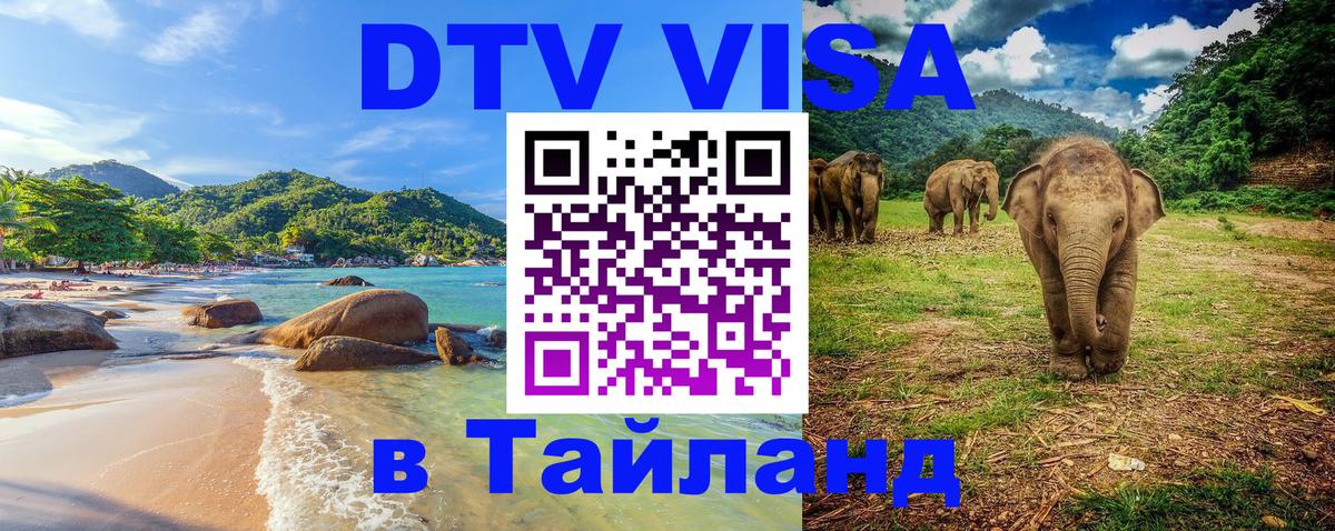 Сколько стоит DTV виза — актуальные цены, оформление даже без документов - 
